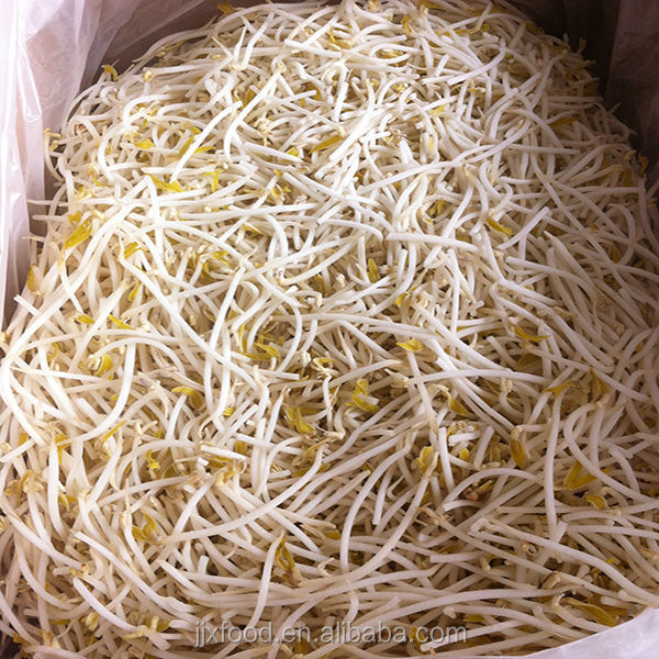 frozen bean sprout