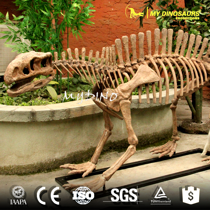 Lotosaurus skeleton 2.jpg