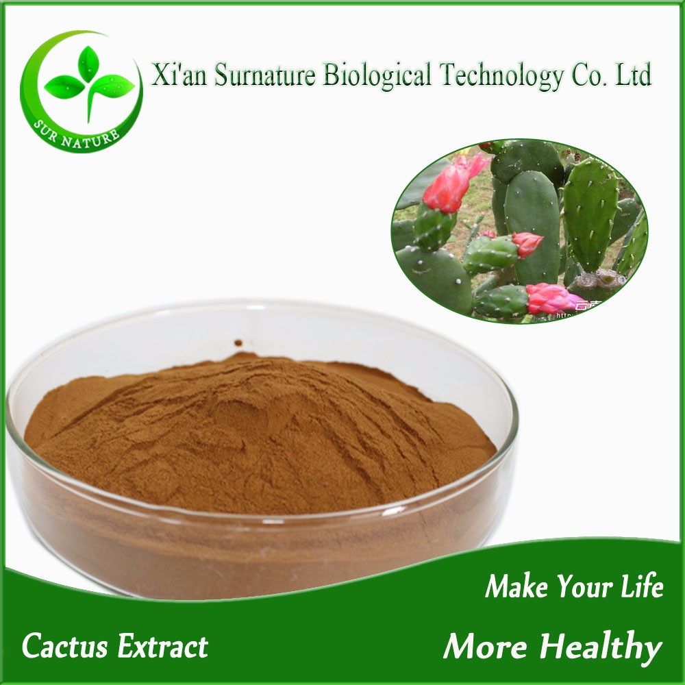 High Quality Natural Organic Dried Prickly Pear,Cactus Extract Powder