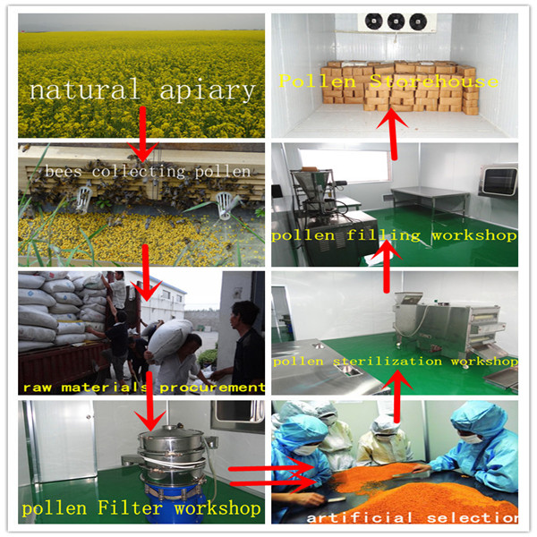 Honey competitive bee pollen prices pine pollen powder wholesale