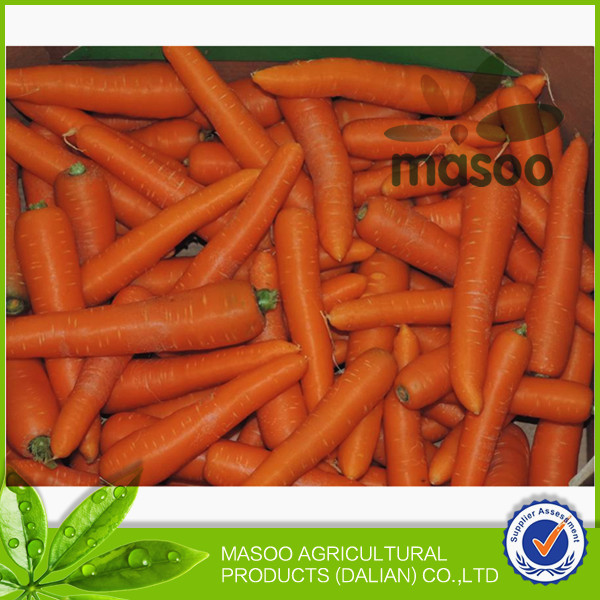 wholesale carrot 2014