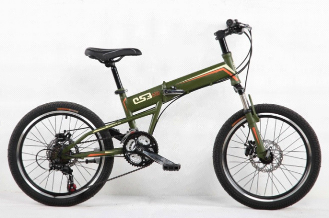 carbon foldable bike