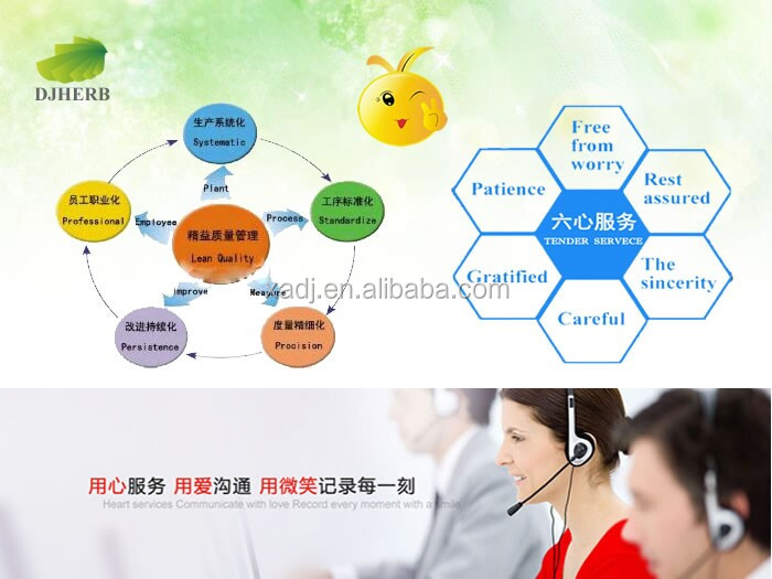 cocoa seed extract powder,cocoa beans oil extraction,cocoa bean hydraulic oil press
