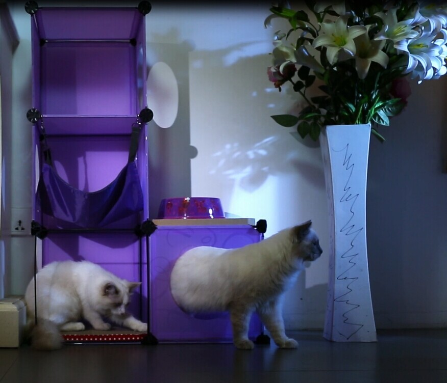 美しく、 耐久性のある家具段ボール猫のおもちゃ猫のスクラッチャー仕入れ・メーカー・工場