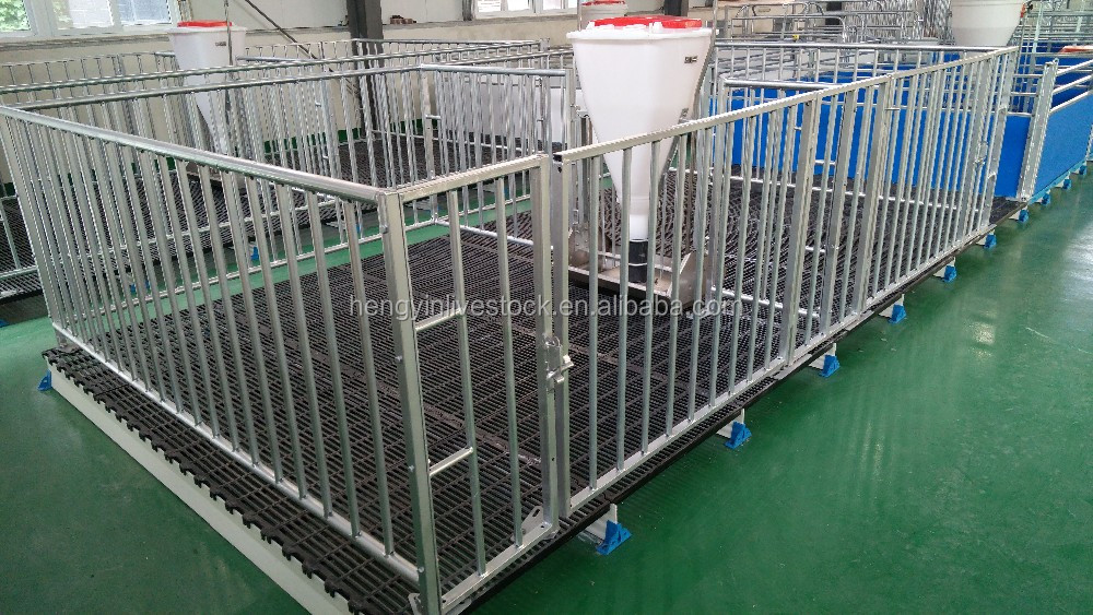 Used Livestock Pig Cage Fattening Crates Scales Craigslist Buy Farrow