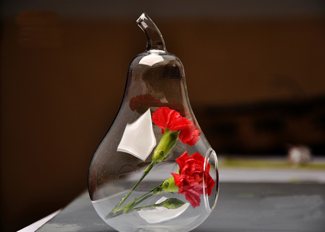 マイクロガラスびんの風景生態学的なフルーツ形状透明なガラスの花瓶仕入れ・メーカー・工場