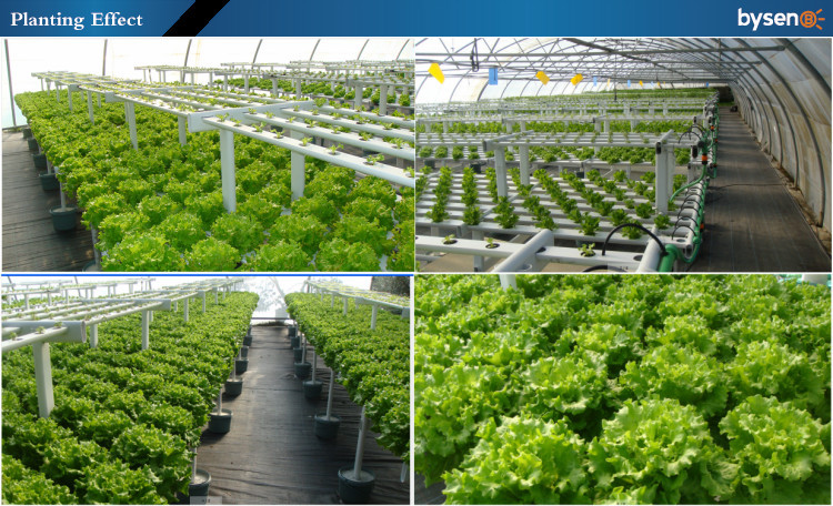 植物の成長を促進調光ライトを育てる導か300ワット販売のための仕入れ・メーカー・工場