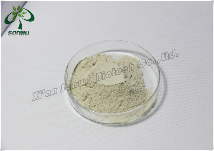Natural Sea Cucumber Powder/dried Sea Cucumber Powder Buy Sea