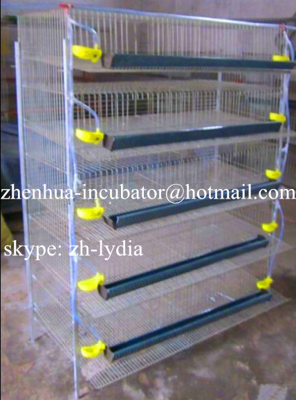 quail cage with automatic drinking system/ quail breeding cages (Lydia 