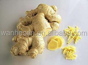bulk fresh ginger, Chinese Ginger