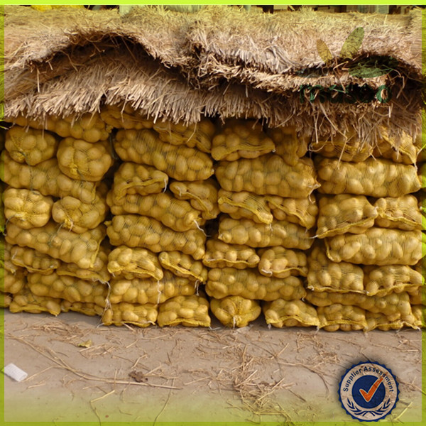 new fresh holland potato 150-200g export
