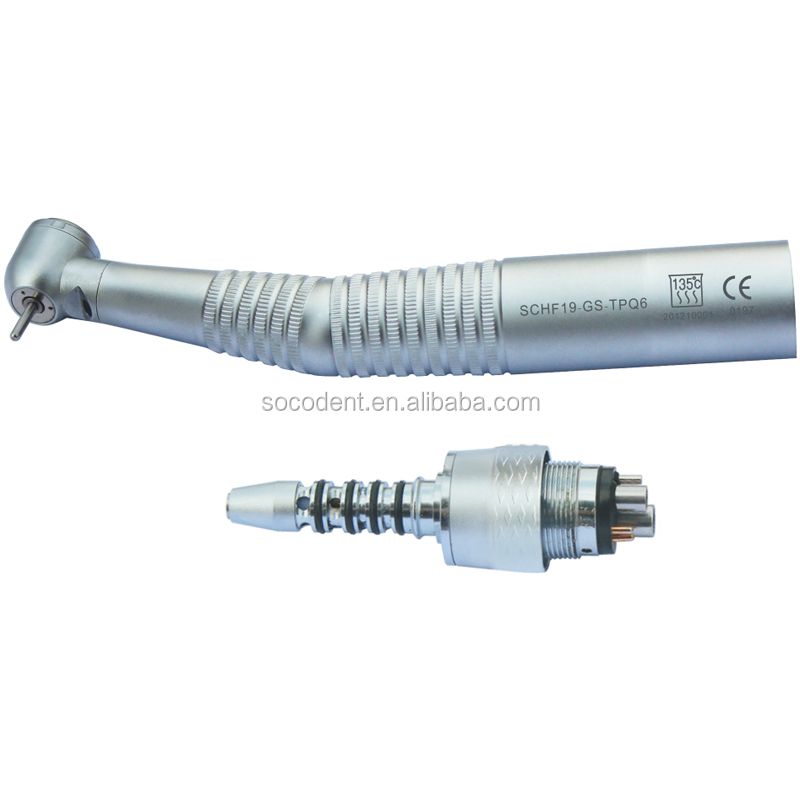 SCHF19-GS-TPQ6-1.jpg