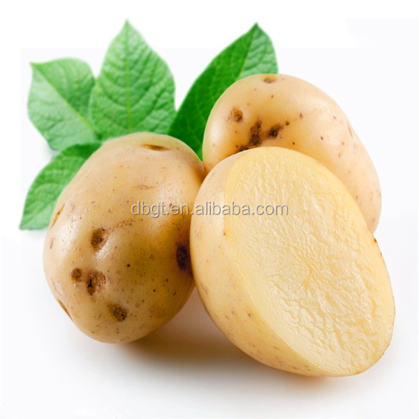 Common Cultivation Type and oval and round Shape potatoes suppliers