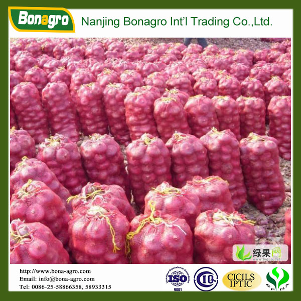 bulk red onion