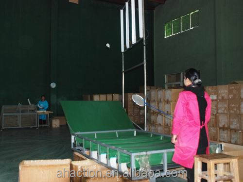 T-fでの一般的な水アヒルの羽毛羽根バドミントン中国で製造された仕入れ・メーカー・工場