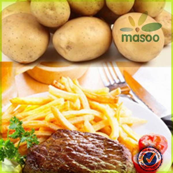 fresh holland seed potato 150-200g exporter