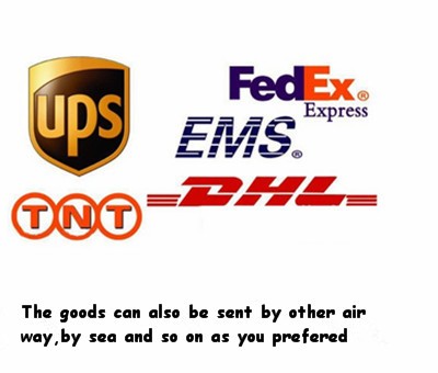.jpg
