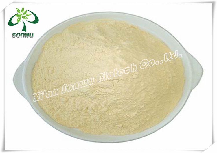 Organic white tea extract powder