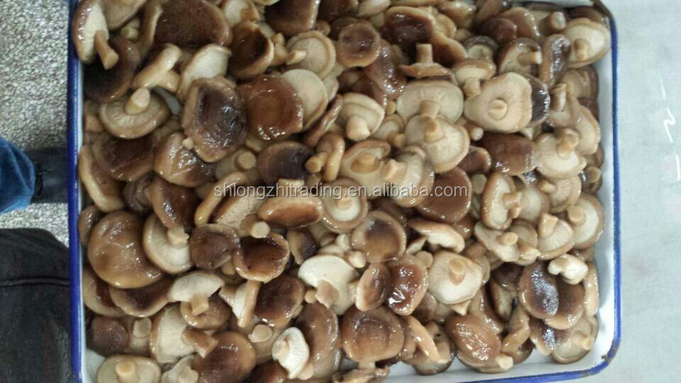 CANNED SHIITAKE