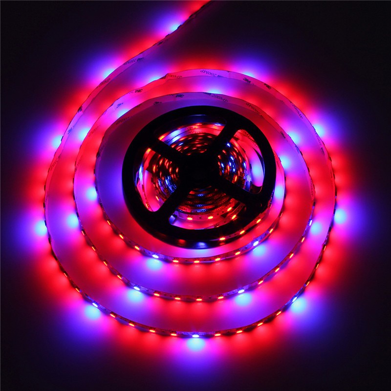 No<em></em>nwaterproof smd 5050 led植物成長ライトストリップ用いた屋内用仕入れ・メーカー・工場