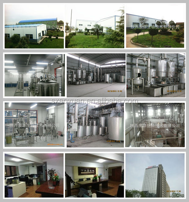 100% Good Quality Goji Berry Extraction (30% Polysaccharides)