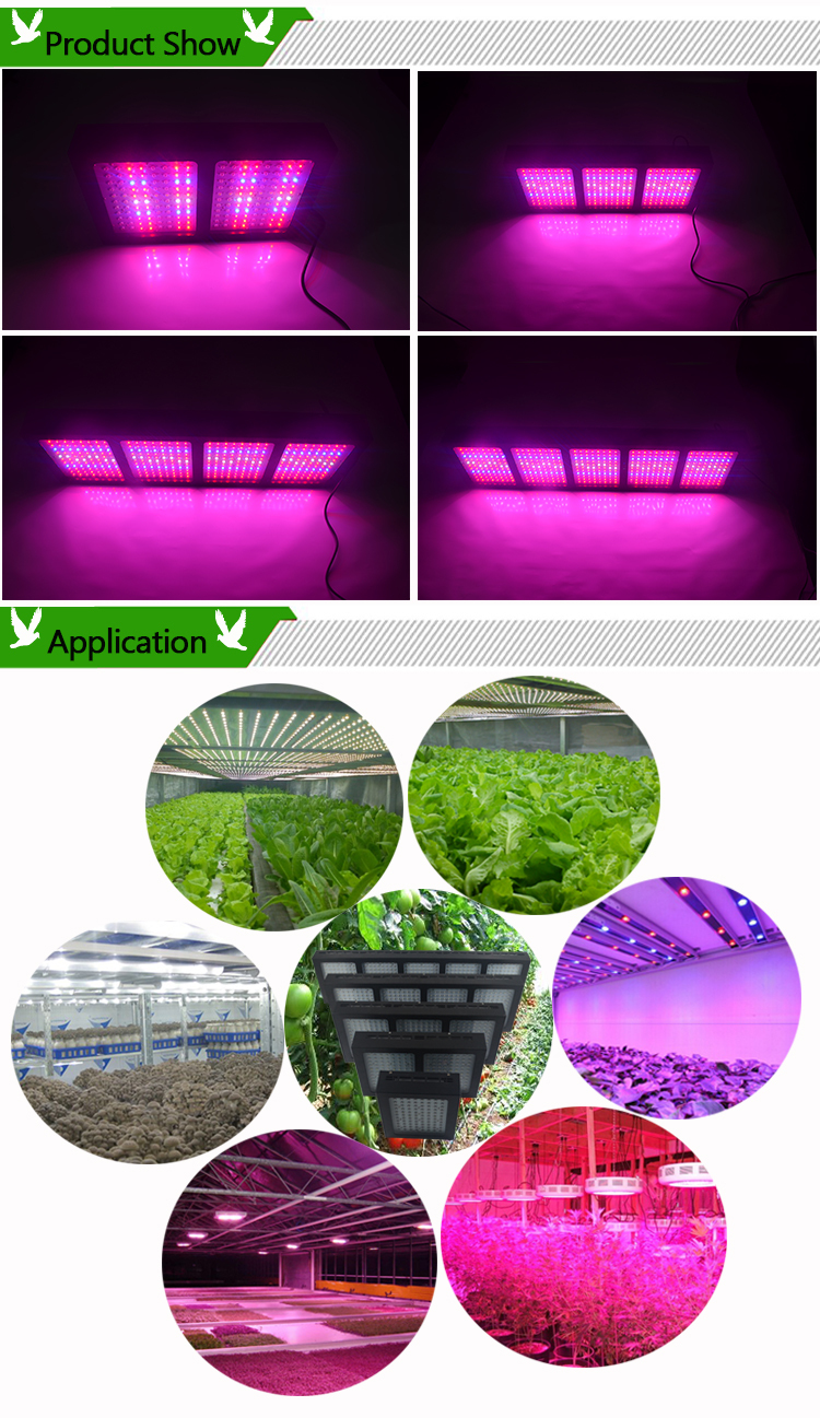1152wフルスペクトルledは光ランプを育てる植物が成長するledライトスパイダー仕入れ・メーカー・工場