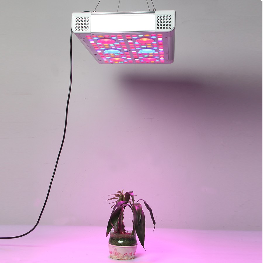 水耕温室3gp王led成長ライト、3ワットcreエピスターチップ高電力400ワット800ワット1200ワットled成長ライトパネルランプ仕入れ・メーカー・工場