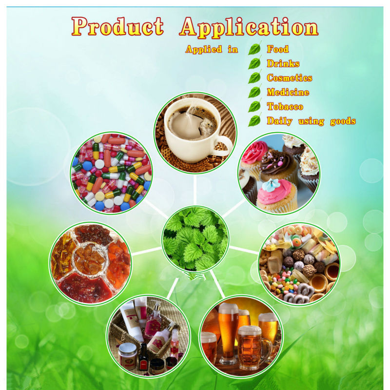 High quality cinnamon polyphenols cinnamon extract