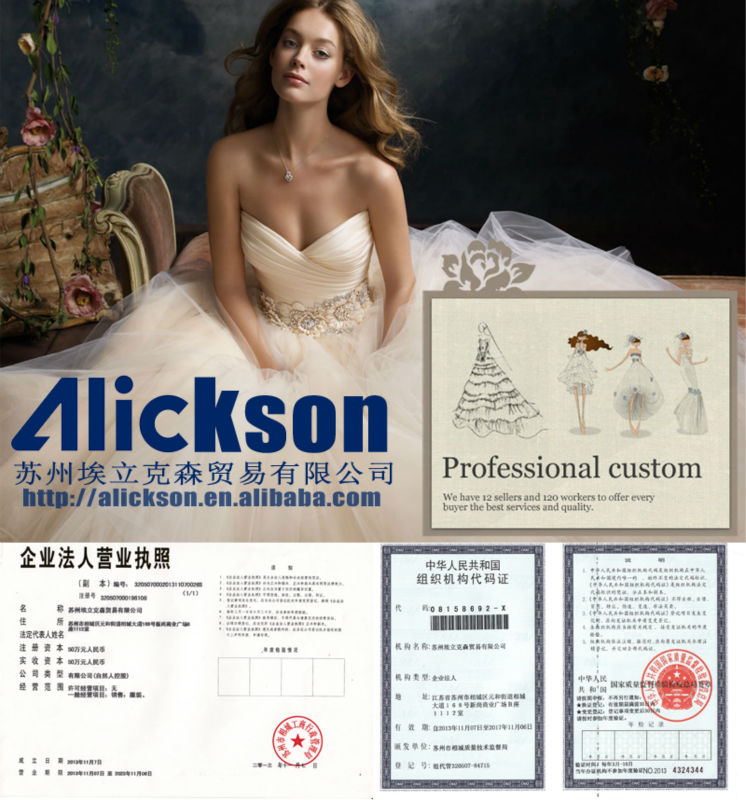 愛らしいv- ネックa- ラインノースリーブbowsknot2013花の女子ドレスの画像問屋・仕入れ・卸・卸売り