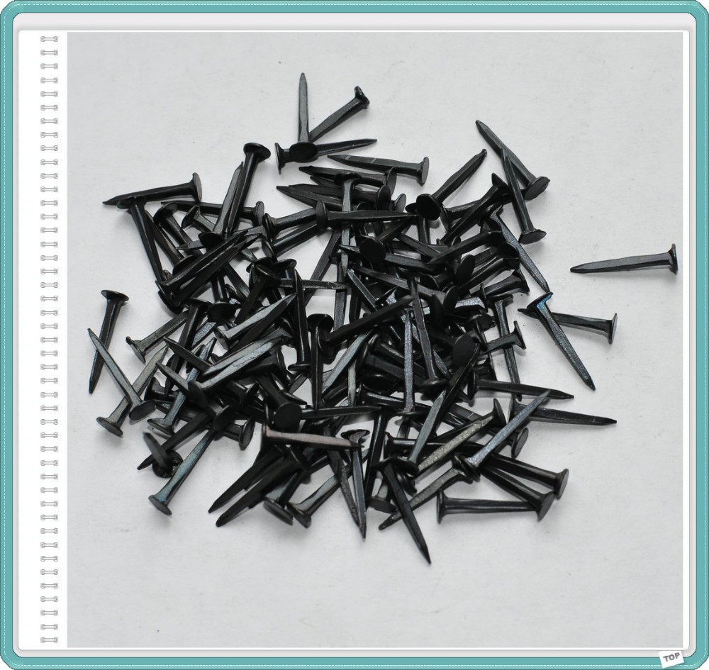 Blue Tack Shoe Nail Buy Round Head Shoe Nail,Nails For Shoe Sole,Nail