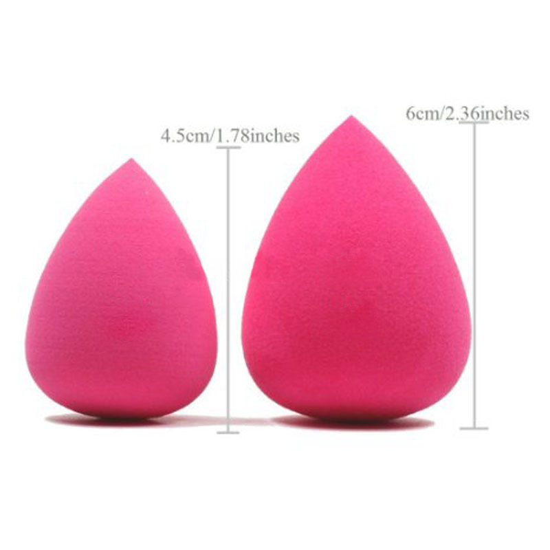 makeup sponge free samples.png