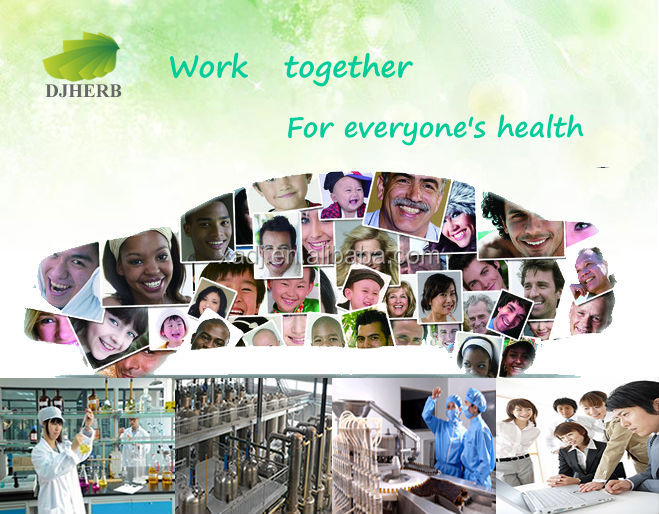 Cocoa oil extraction,cocoa liquid extract,cocoa bean extract