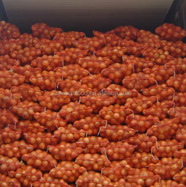 wholesale fresh red onion