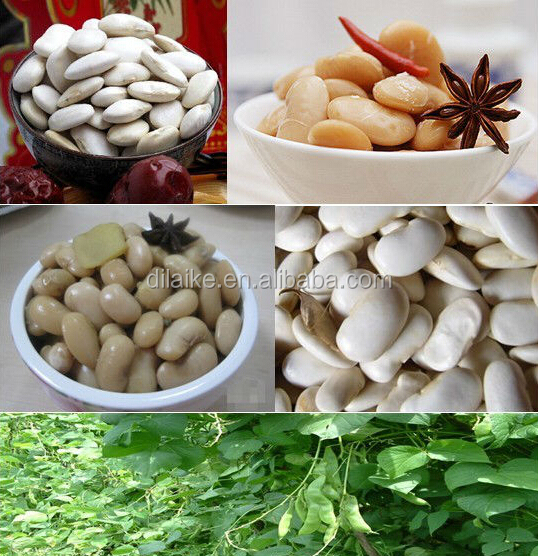 best quality and low price canned green peas