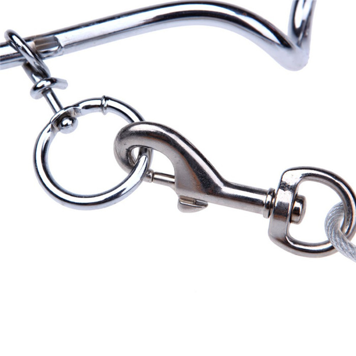 Metal Screwin Dog Lead Stake Buy Screw In Dog Lead Stake,Screw In