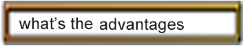 advantages logo.png