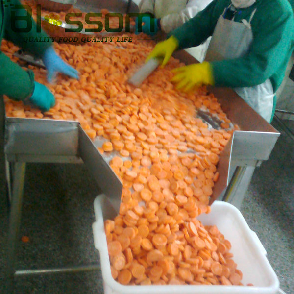 IQF carrot diced frozen carrot frozen mixed vegetable