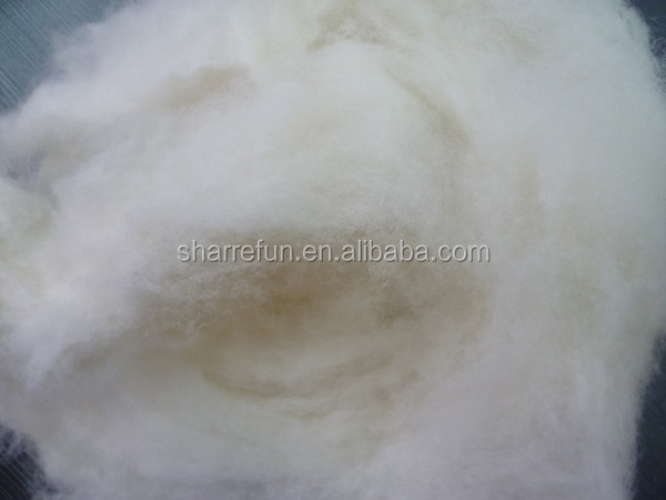 sheep-wool2