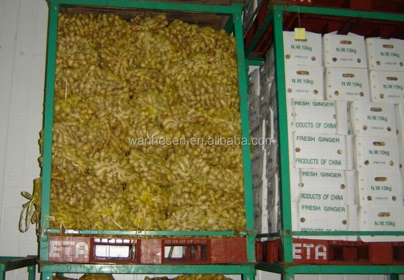 20kg Mesh Bag Package Air Dry Ginger