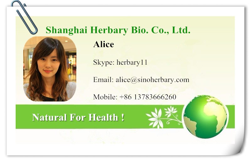 Lyophilized Royal Jelly Powder/royal jelly freeze dried powder