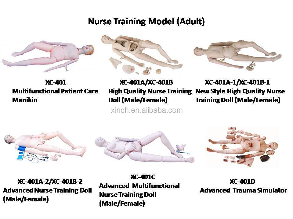 Multifunctional Nursing Training Dummy For Medical School Teaching