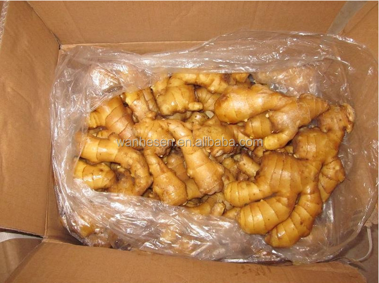 2014 High Quality New Crop Fresh ginger export For UK,CANADA,USA and EU Market best selling ginger