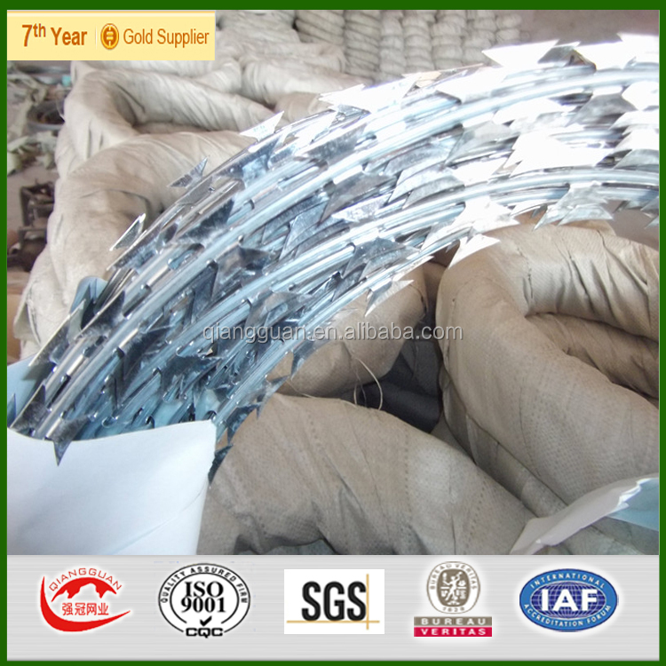 razor wire1004.jpg