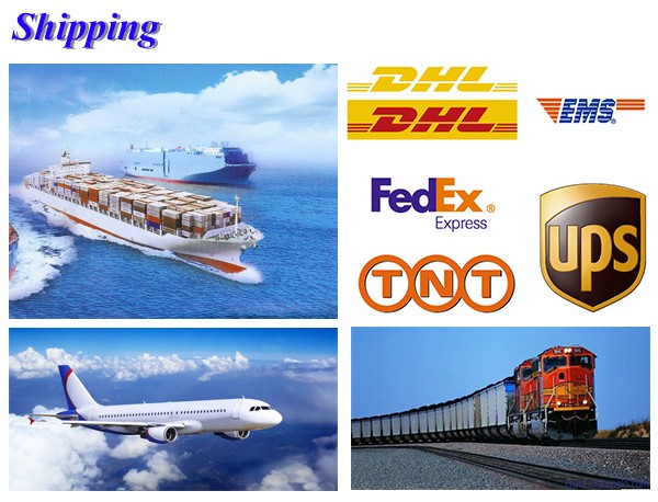 Shipping