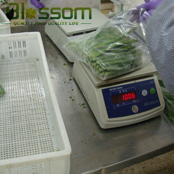 Top quality frozen green asparagus new crop asparagus price and fresh asparagus prices