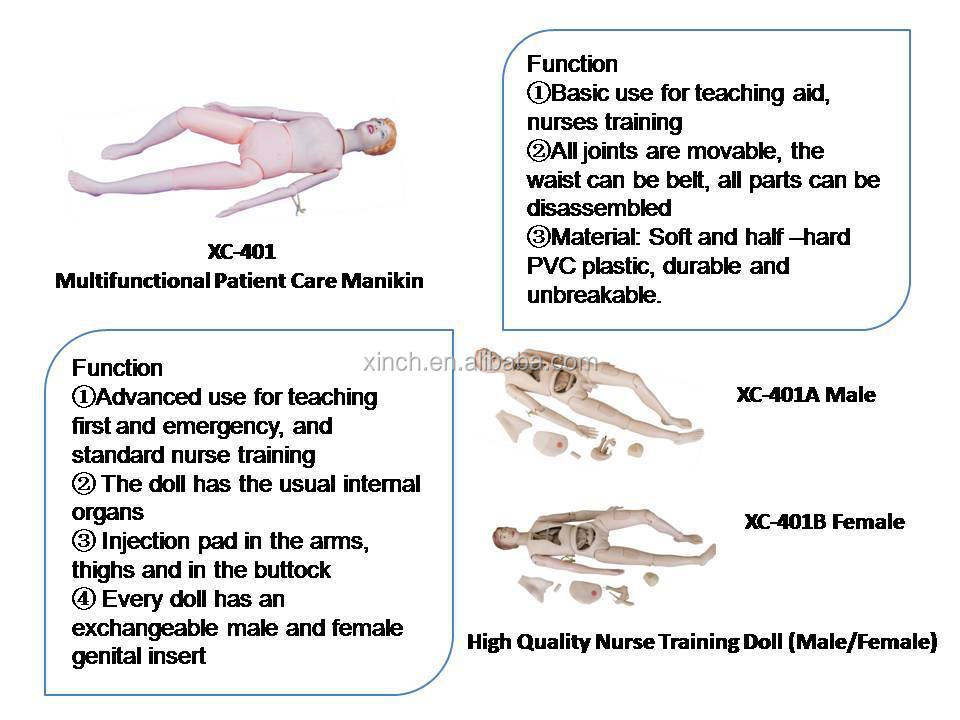 Multifunctional Nursing Training Dummy For Medical School Teaching