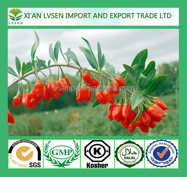 Treating fatigability and Treating high blood fats and diabetes organic goji berries extract
