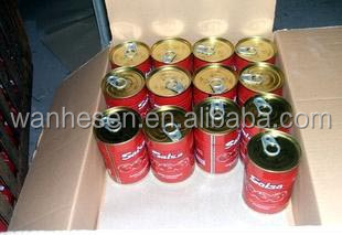28-30% tomato paste in can , canned tomato paste
