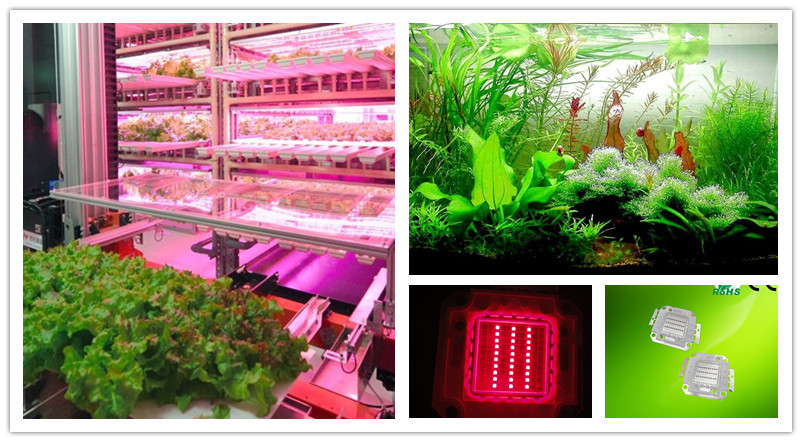 100w 850nm Infrared Power LED Diode