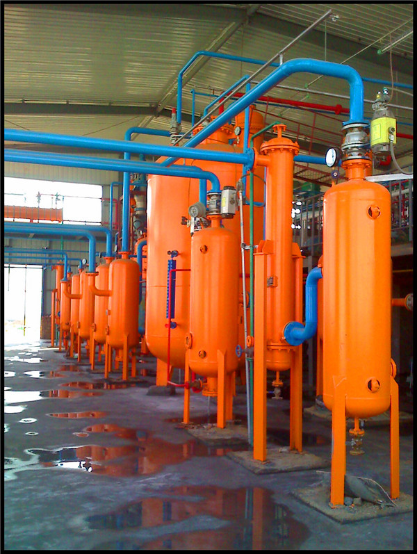 high efficient onion/cumin simmondsia chinensis/cinnamon/rhodiola rosea/ seed oil extractor